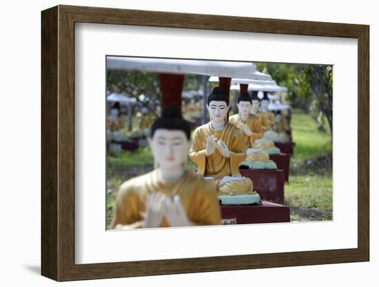 Buddha Statues Each Planted Alongside a Bo Tree in Maha Bodhi Ta Htaung, Myanmar (Burma)-Annie Owen-Framed Photographic Print