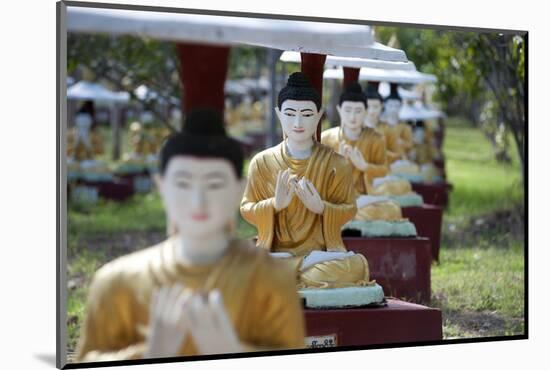 Buddha Statues Each Planted Alongside a Bo Tree in Maha Bodhi Ta Htaung, Myanmar (Burma)-Annie Owen-Mounted Photographic Print