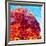 Buddha Tree-Mandy Budan-Framed Giclee Print