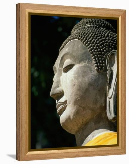 Buddha-null-Framed Premier Image Canvas