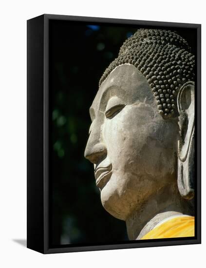 Buddha-null-Framed Premier Image Canvas