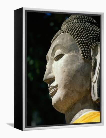 Buddha-null-Framed Premier Image Canvas