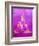 Buddha-GI ArtLab-Framed Giclee Print