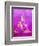 Buddha-GI ArtLab-Framed Giclee Print