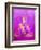 Buddha-GI ArtLab-Framed Giclee Print