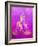 Buddha-GI ArtLab-Framed Giclee Print