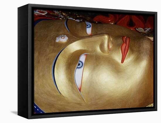 Buddha-WizData-Framed Stretched Canvas