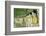 Buddhas in the U Min Thonze Cave Temple, Sagaing Hill, Sagaing, Myanmar (Burma), Southeast Asia-Alex Robinson-Framed Photographic Print