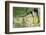 Buddhas in the U Min Thonze Cave Temple, Sagaing Hill, Sagaing, Myanmar (Burma), Southeast Asia-Alex Robinson-Framed Photographic Print