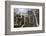 Buddhist Cemetery of Oku-No-In, Koyasan (Koya-San), Kansai, Japan-Stuart Black-Framed Photographic Print