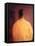 Buddhist Monk, 2005-Lincoln Seligman-Framed Premier Image Canvas