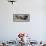 Buddhist Monk at the Gal Vihara, Polonnaruwa (Polonnaruva), Sri Lanka, Asia-Bruno Morandi-Framed Photographic Print displayed on a wall