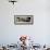 Buddhist Monk at the Gal Vihara, Polonnaruwa (Polonnaruva), Sri Lanka, Asia-Bruno Morandi-Framed Photographic Print displayed on a wall