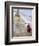 Buddhist Monk Descends the Steps of Boudha, the Tibetan Stupa in Kathmandu, Nepal-Don Smith-Framed Photographic Print