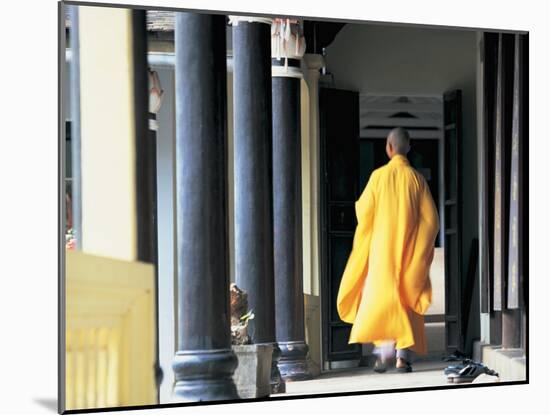 Buddhist Monk, Hue, Vietnam-Peter Adams-Mounted Photographic Print