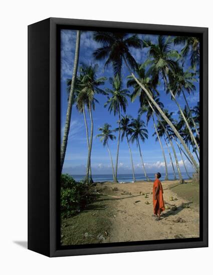 Buddhist Monk Looking up at Palm Trees Between Unawatuna and Weligama, Sri Lanka-Yadid Levy-Framed Premier Image Canvas