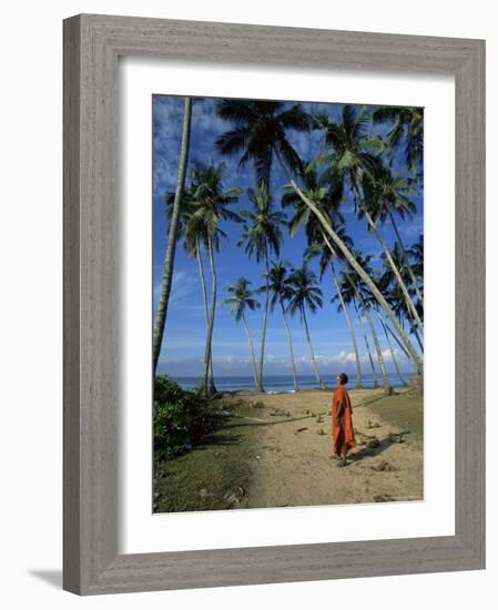 Buddhist Monk Looking up at Palm Trees Between Unawatuna and Weligama, Sri Lanka-Yadid Levy-Framed Photographic Print