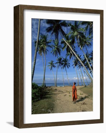 Buddhist Monk Looking up at Palm Trees Between Unawatuna and Weligama, Sri Lanka-Yadid Levy-Framed Photographic Print