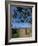 Buddhist Monk Looking up at Palm Trees Between Unawatuna and Weligama, Sri Lanka-Yadid Levy-Framed Photographic Print