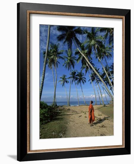 Buddhist Monk Looking up at Palm Trees Between Unawatuna and Weligama, Sri Lanka-Yadid Levy-Framed Photographic Print