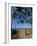 Buddhist Monk Looking up at Palm Trees Between Unawatuna and Weligama, Sri Lanka-Yadid Levy-Framed Photographic Print