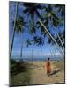 Buddhist Monk Looking up at Palm Trees Between Unawatuna and Weligama, Sri Lanka-Yadid Levy-Mounted Photographic Print