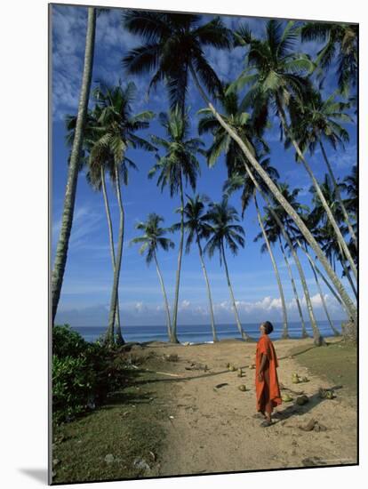 Buddhist Monk Looking up at Palm Trees Between Unawatuna and Weligama, Sri Lanka-Yadid Levy-Mounted Photographic Print