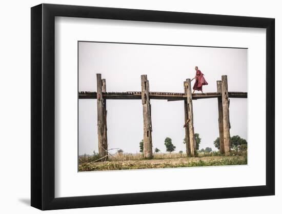 Buddhist Monk on U Bein Teak Bridge, Myanmar (Burma)-Matthew Williams-Ellis-Framed Photographic Print