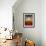 Buddhist Monk Praying, Wat Benchamabophit (Marble Temple), Bangkok, Thailand, Southeast Asia, Asia-Angelo Cavalli-Framed Photographic Print displayed on a wall