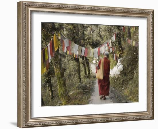 Buddhist Monk Walking Down Path, Mcleod Ganj, Dharamsala, Himachal Pradesh State, India-Jochen Schlenker-Framed Photographic Print