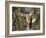 Buddhist Monk Walking Down Path, Mcleod Ganj, Dharamsala, Himachal Pradesh State, India-Jochen Schlenker-Framed Photographic Print