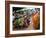 Buddhist Monks Collecting Alms in the Market Town of Phum Swai Chreas, Eastern Cambodia, Indochina-Andrew Mcconnell-Framed Photographic Print