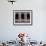 Buddhist Monks Look Through the Windows into the Courtyard of the Tango Monestary Near Thimphu-null-Framed Photographic Print displayed on a wall