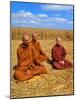 Buddhist Monks Meditating In a Crop Circle-David Parker-Mounted Photographic Print