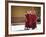 Buddhist Monks, Paro Dzong, Paro, Bhutan-Angelo Cavalli-Framed Photographic Print