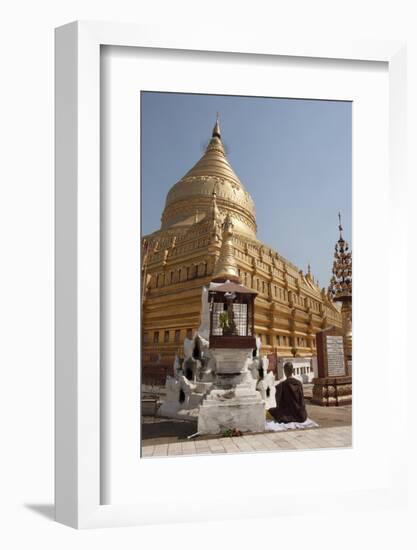 Buddhist Nun Meditating by Gold Stupa, Shwezigon Paya (Pagoda), Nyaung U-Stephen Studd-Framed Photographic Print