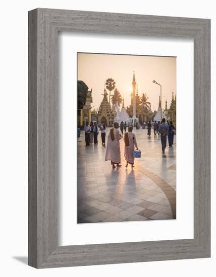 Buddhist Nuns in Pink Robes at Sunrise at Shwedagon Pagoda (Golden Pagoda), Myanmar (Burma)-Matthew Williams-Ellis-Framed Photographic Print