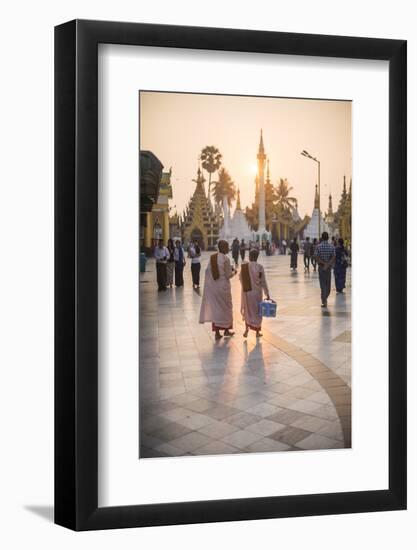 Buddhist Nuns in Pink Robes at Sunrise at Shwedagon Pagoda (Golden Pagoda), Myanmar (Burma)-Matthew Williams-Ellis-Framed Photographic Print