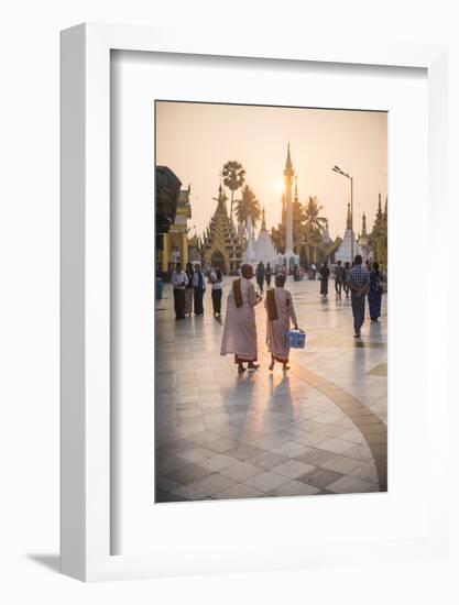 Buddhist Nuns in Pink Robes at Sunrise at Shwedagon Pagoda (Golden Pagoda), Myanmar (Burma)-Matthew Williams-Ellis-Framed Photographic Print