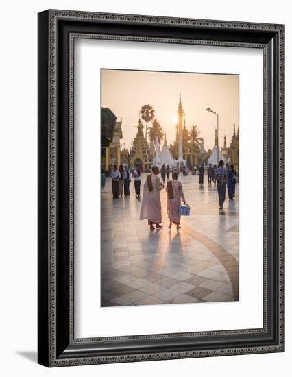 Buddhist Nuns in Pink Robes at Sunrise at Shwedagon Pagoda (Golden Pagoda), Myanmar (Burma)-Matthew Williams-Ellis-Framed Photographic Print