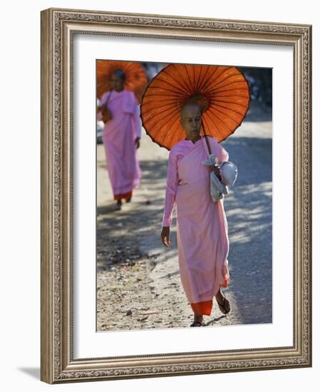 Buddhist Nuns with Bamboo-Framed Orange Umbrellas Walk Through Streets of Sittwe, Burma, Myanmar-Nigel Pavitt-Framed Photographic Print