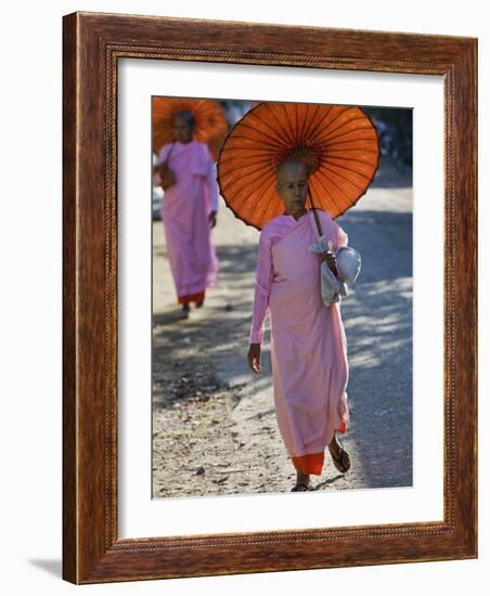 Buddhist Nuns with Bamboo-Framed Orange Umbrellas Walk Through Streets of Sittwe, Burma, Myanmar-Nigel Pavitt-Framed Photographic Print