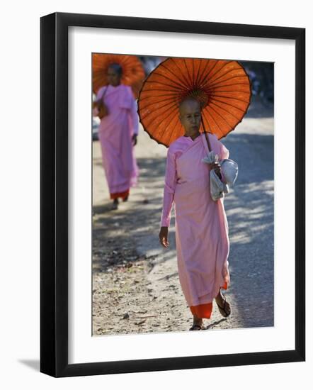 Buddhist Nuns with Bamboo-Framed Orange Umbrellas Walk Through Streets of Sittwe, Burma, Myanmar-Nigel Pavitt-Framed Photographic Print