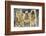 Buddhist painting in the Ajanta Caves, UNESCO World Heritage Site, Maharashtra, India, Asia-Alex Robinson-Framed Photographic Print