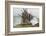 Buddhist Prayer Flags at Horse Festival, Tibetan Area, Sichuan, China-Peter Adams-Framed Photographic Print