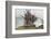 Buddhist Prayer Flags at Horse Festival, Tibetan Area, Sichuan, China-Peter Adams-Framed Photographic Print