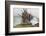 Buddhist Prayer Flags at Horse Festival, Tibetan Area, Sichuan, China-Peter Adams-Framed Photographic Print