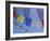 Buddhist Prayer Flags, Bodhnath, Kathmandu, Nepal, Asia-David Poole-Framed Photographic Print