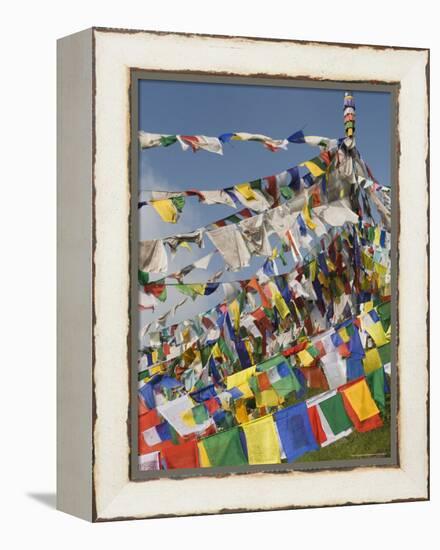 Buddhist Prayer Flags, Mcleod Ganj, Dharamsala, Himachal Pradesh State, India, Asia-Jochen Schlenker-Framed Premier Image Canvas