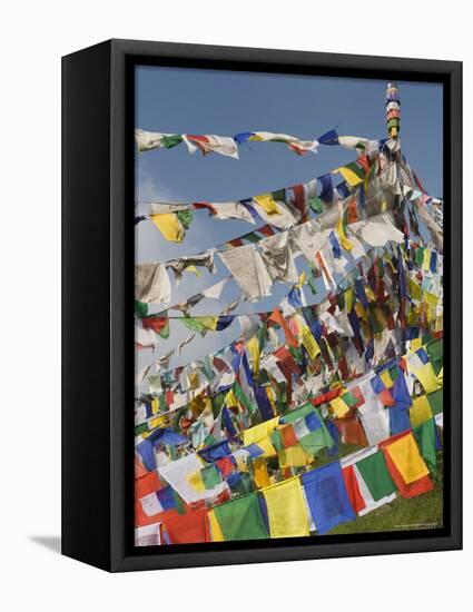 Buddhist Prayer Flags, Mcleod Ganj, Dharamsala, Himachal Pradesh State, India, Asia-Jochen Schlenker-Framed Premier Image Canvas